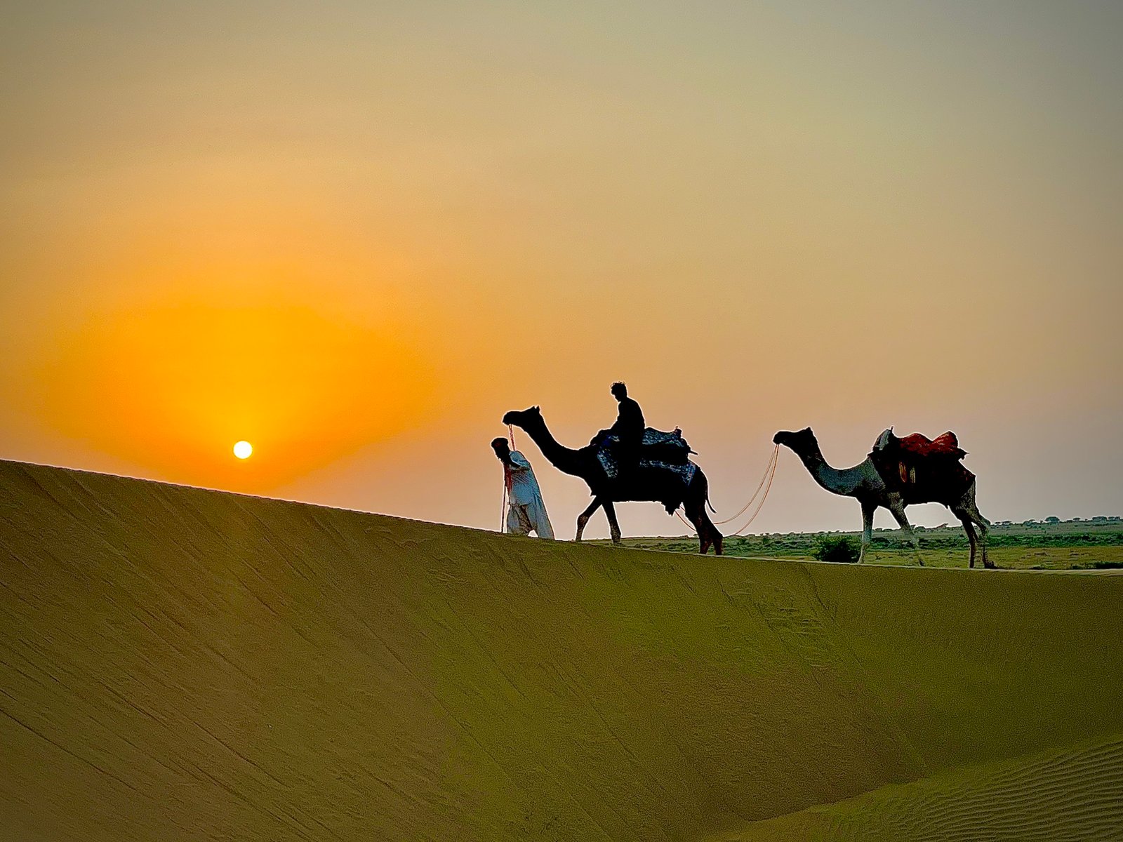 Camel safari crossing the golden dunes at sunset near Dangri Desert Camp, Jaisalmer